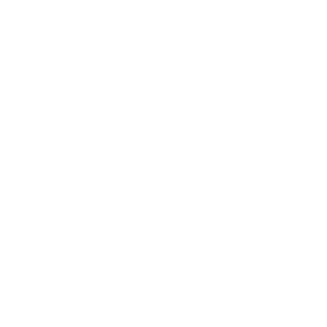brick checkmark icon white