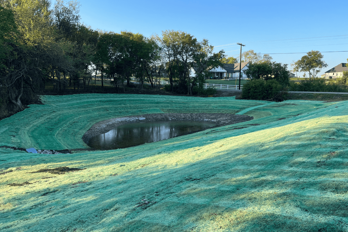 site services near me