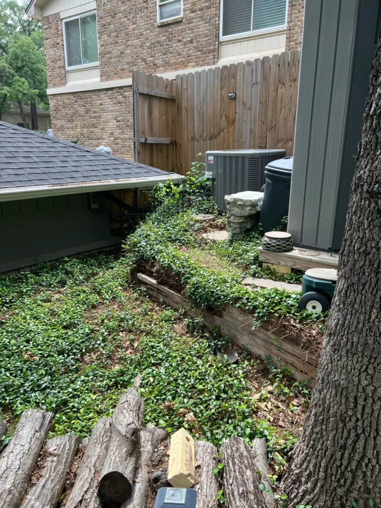 Arlington Before 14 Arlington Before
